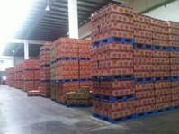 stackable-plastic-pallets-bulk-carton-storage stackable-plastic-pallets-bulk-carton-storage